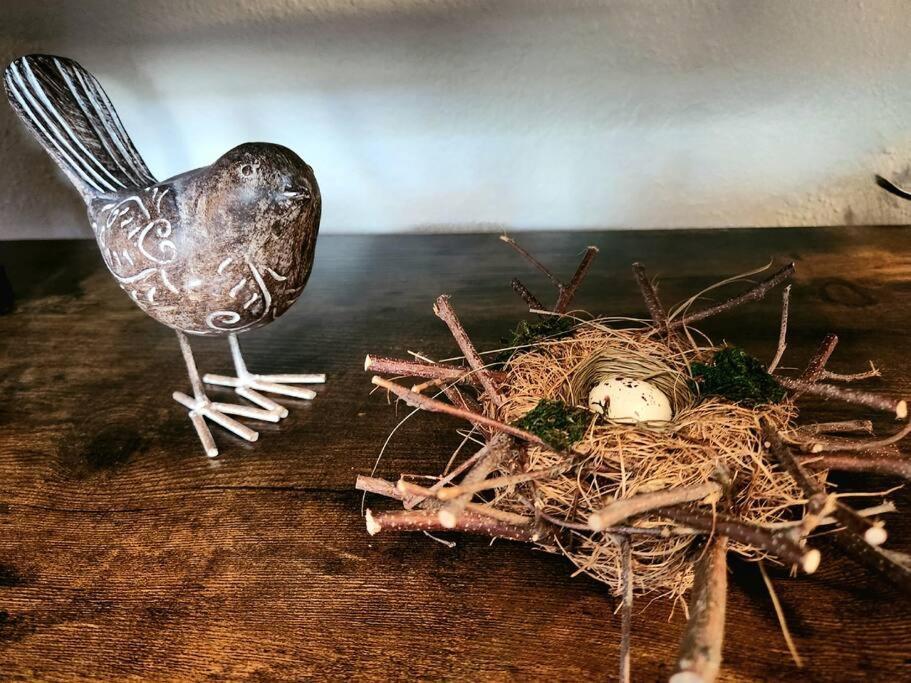 The Nest Downtown Dunedin No Kids, No Pets Buitenkant foto